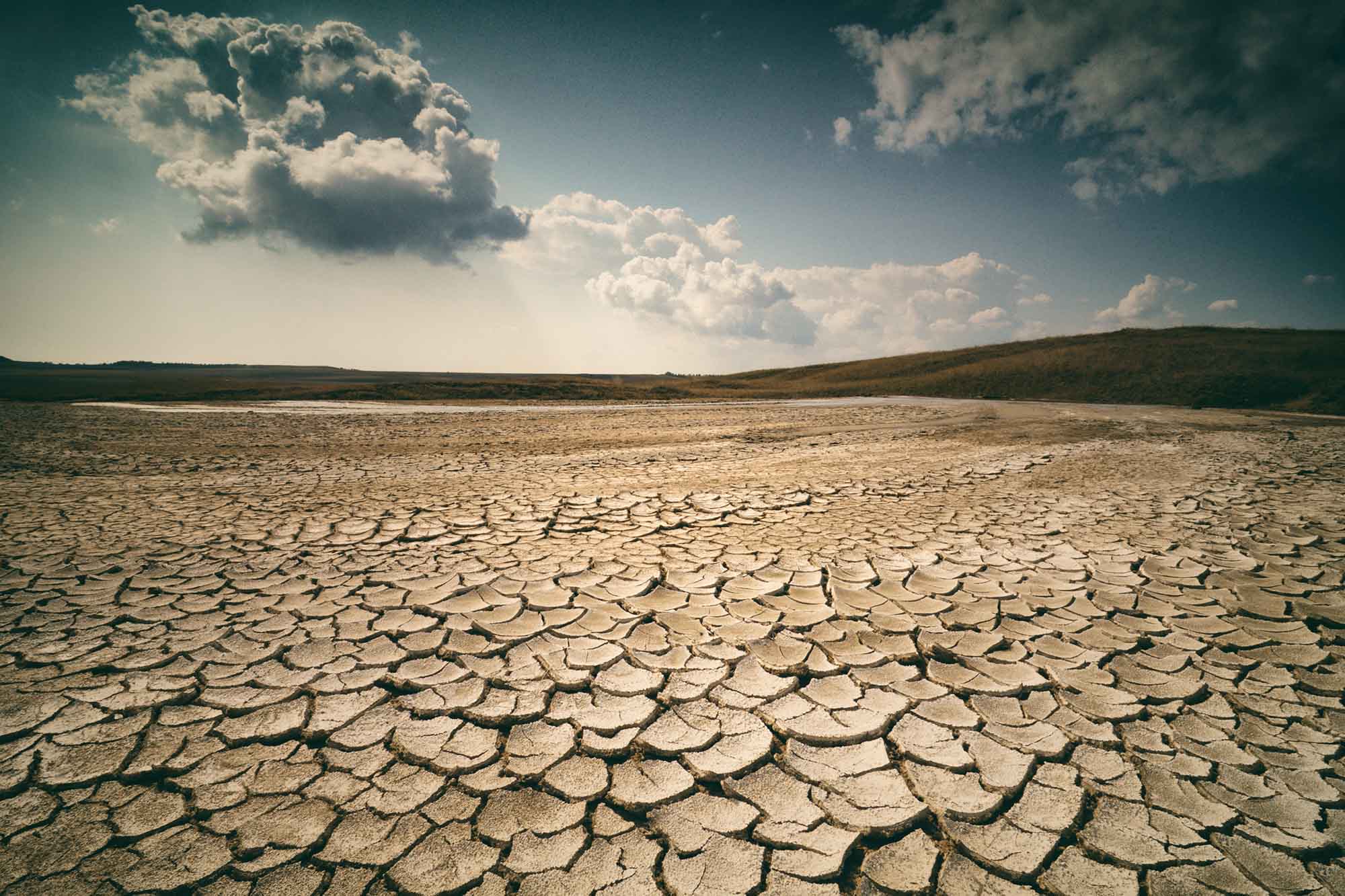 10 Drought Facts Everyone Should Know